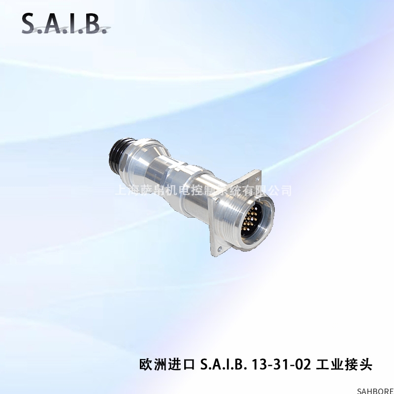 欧洲进口 S.A.1.B.13-31-02工业接头