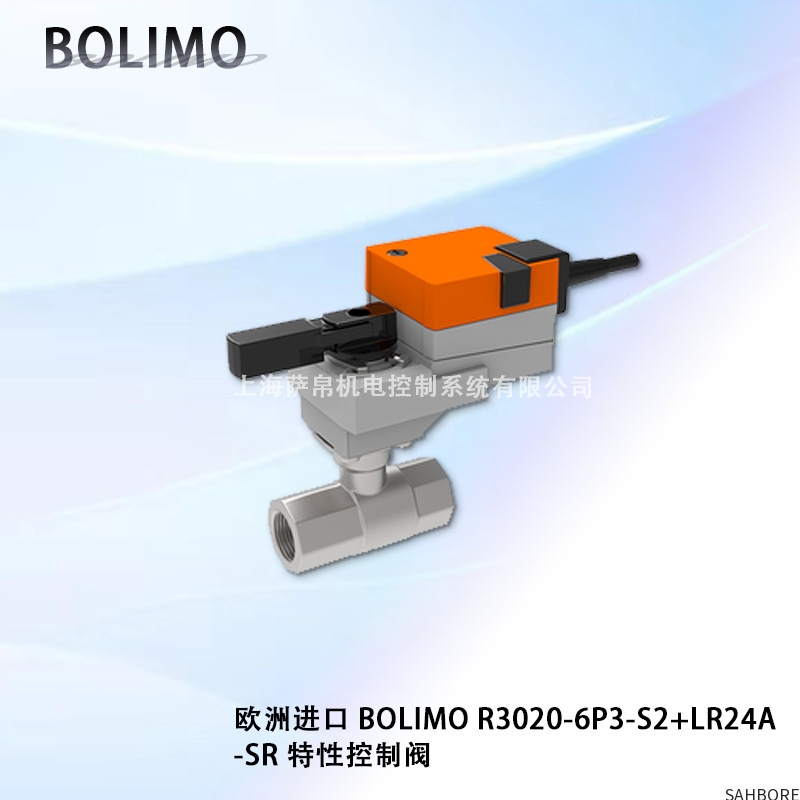 欧洲进口 BOLIMO R3020-6P3-S2+LR24A-SR 特性控制阀