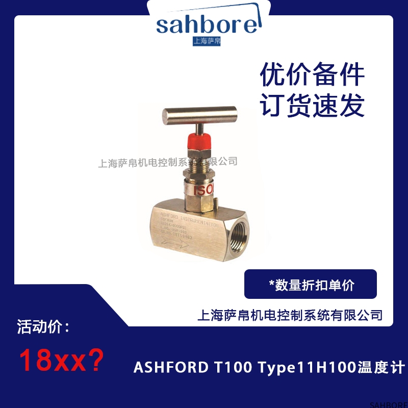 ASHFORD T100 Type11H100温度计