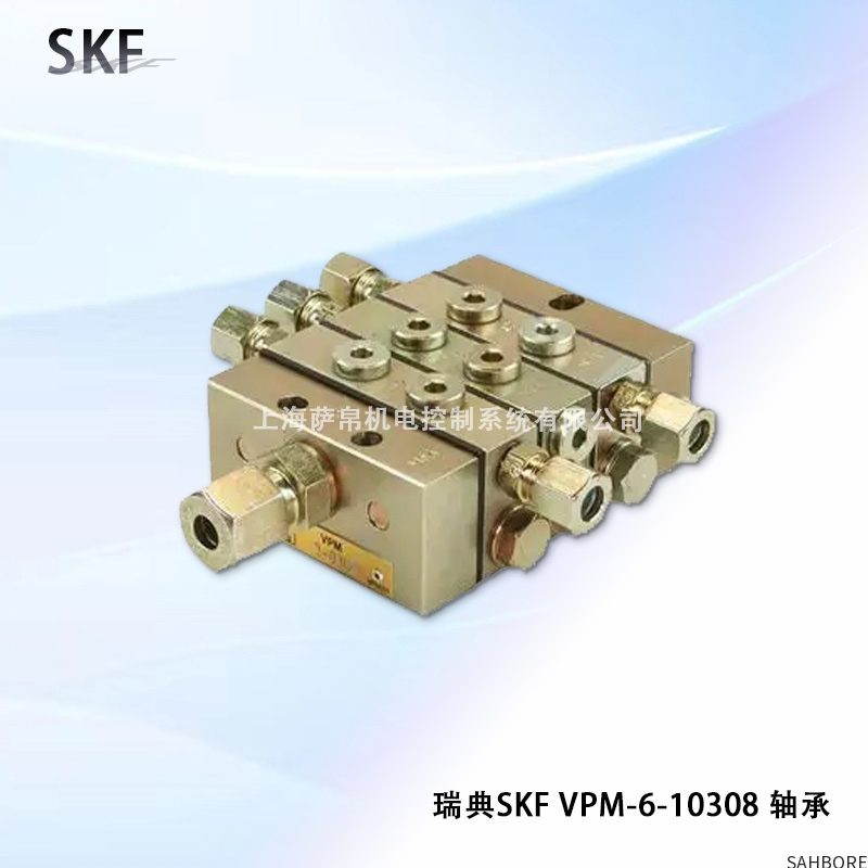 瑞典SKF VPM-6-10308 轴承