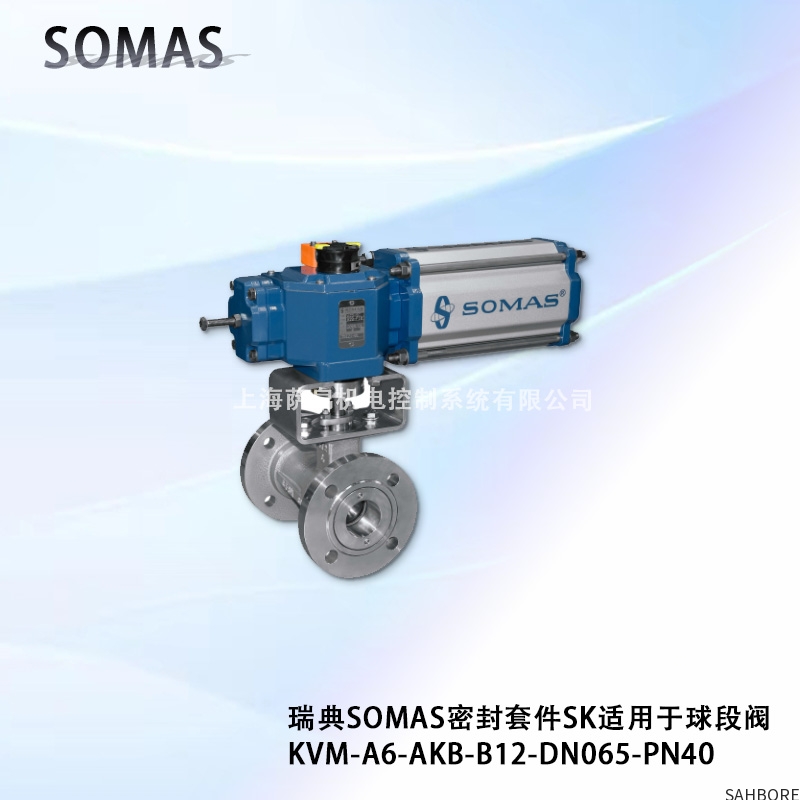 瑞典SOMAS密封套件SK适用于球段阀KVM-A6-AKB-B12-DN065-PN40