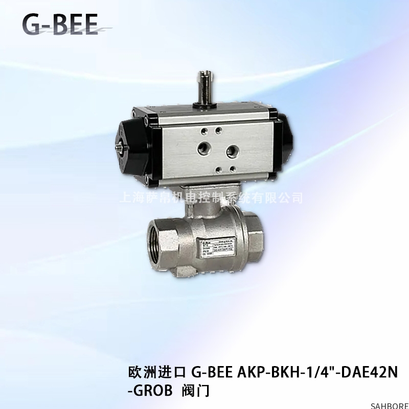 欧洲进口 G-BEE AKP-BKH-1/4