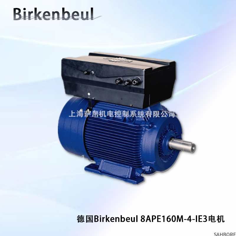 德国Birkenbeul 8APE160M-4-IE3电机