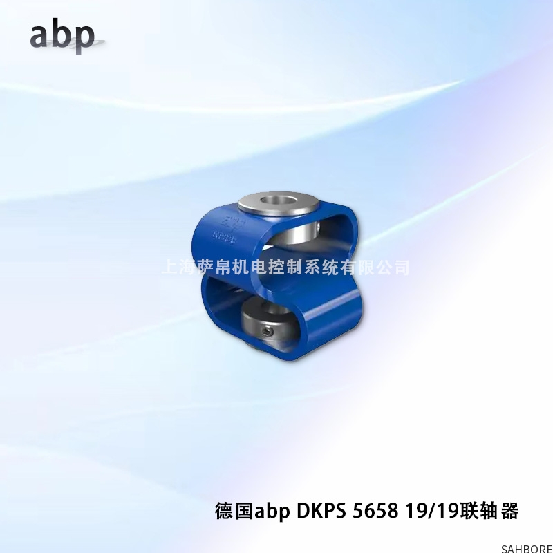 德国abp DKPS 5658 19/19联轴器