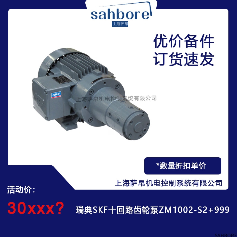 瑞典SKF十回路齿轮泵ZM1002-S2+999