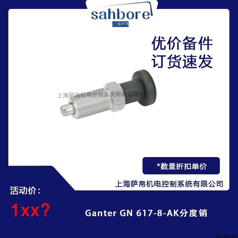 Ganter GN 617-8-AK分度销