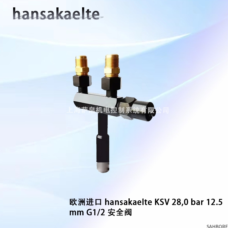 欧洲进口 hansakaelte KSV 28,0 bar 12.5mm G1/2 安全阀