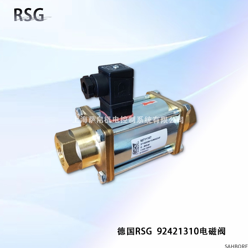 德国RSG 92421310电磁阀
