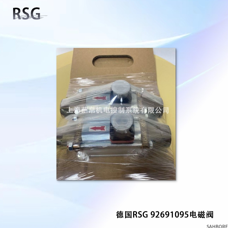 德国RSG 92691095电磁阀