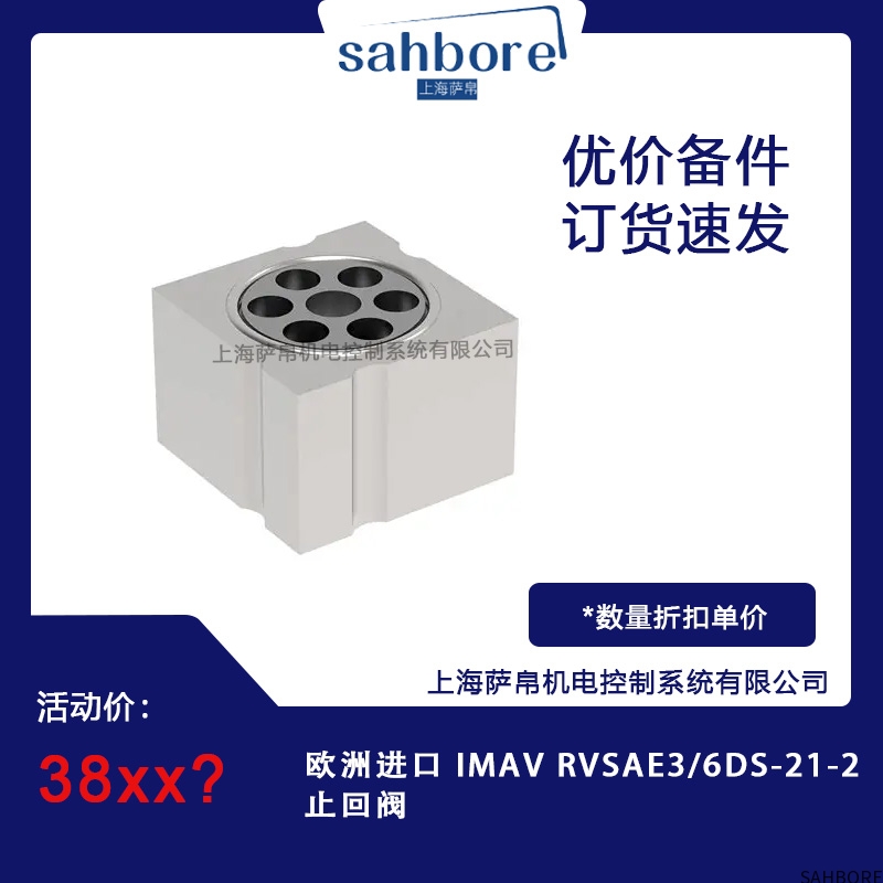 欧洲进口 IMAV RVSAE3/6DS-21-2止回阀