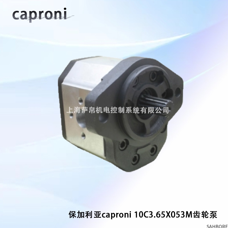 保加利亚caproni 10C3.65X053M齿轮泵