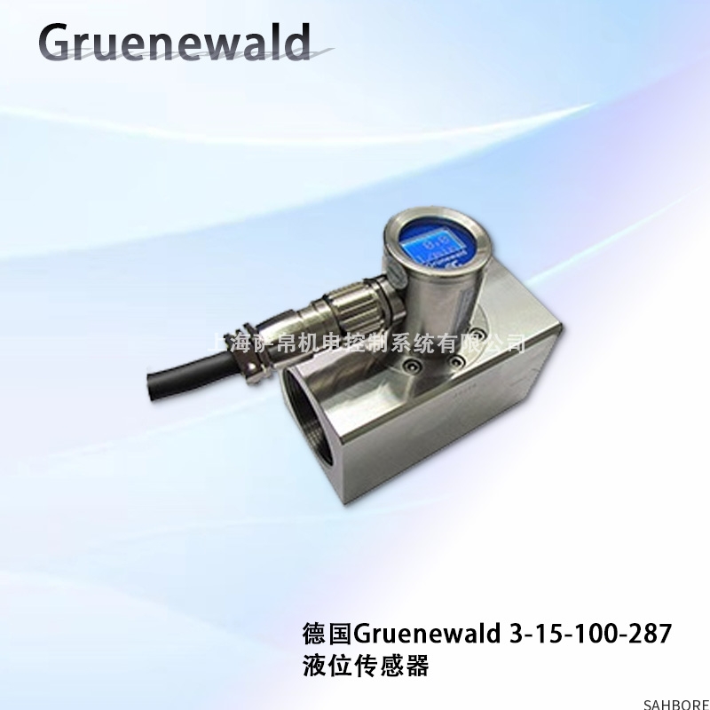 德国Gruenewald 3-15-100-287液位传感器