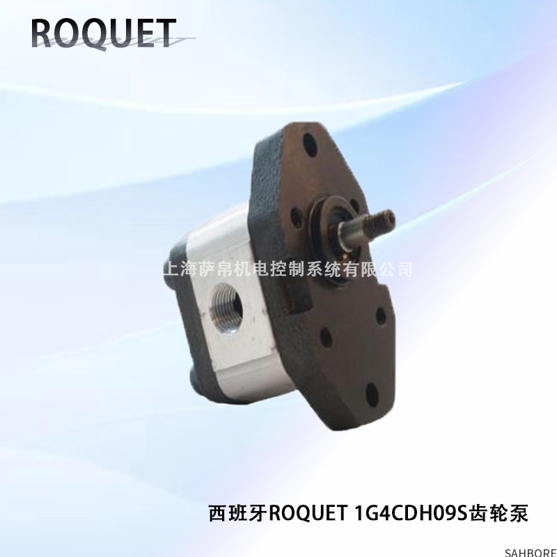 西班牙ROQUET 1G4CDH09S齿轮泵