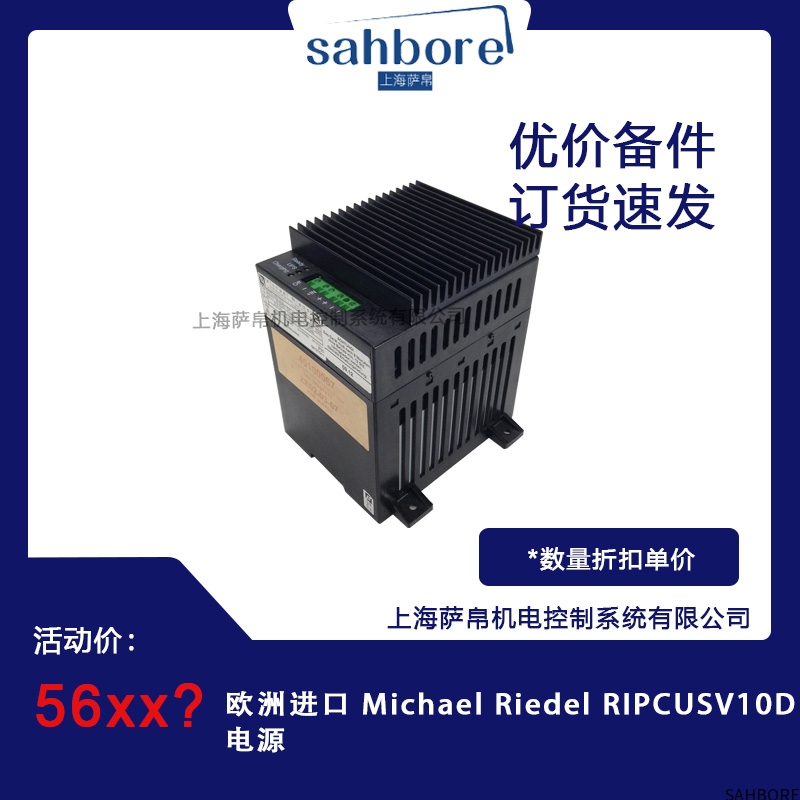 欧洲进口 Michael Riedel RIPCUSV10D电源