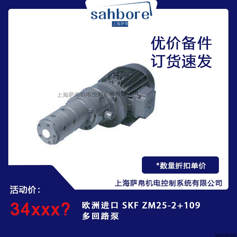 欧洲进口 SKF ZM25-2+109多回路泵