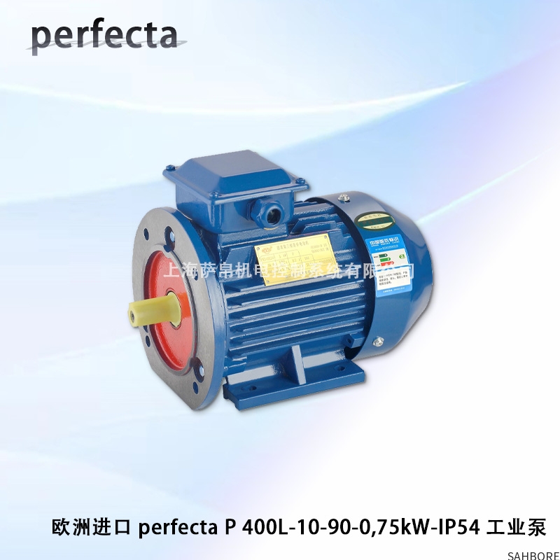 欧洲进口 perfecta P 400L-10-90-0,75kW-IP54 工业泵