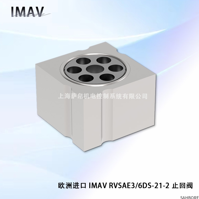 欧洲进口 IMAV RVSAE3/6DS-21-2 止回阀