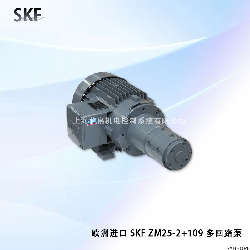 欧洲进口 SKF ZM25-2+109 多回路泵