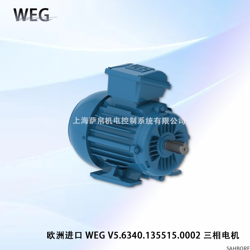 欧洲进口 WEG V5.6340.135515.0002三相电机